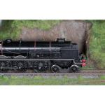 Hornby Princess Royal Class Steam Train 46202