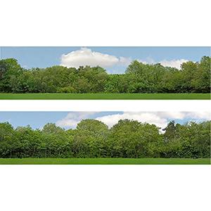 OO Gauge 15" High Trees Backscene 149A