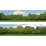 OO Gauge 15" High Trees Backscene 149A