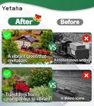 Yetaha 50PCS OO Gauge Pine Model Trees