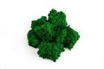 War World Scenics Tree & Hedgerow Foliage Kit