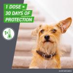 Frontline Plus for Small Dogs 5-22 lbs - 3 Doses