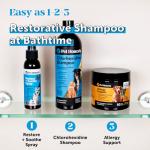 Chlorhexidine Shampoo for Dogs & Cats 16oz