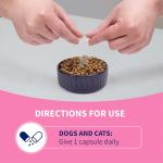 Nutramax Proviable DC for Dogs and Cats, 80 Capsules