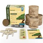 Bonsai Starter Kit for Plant Lovers