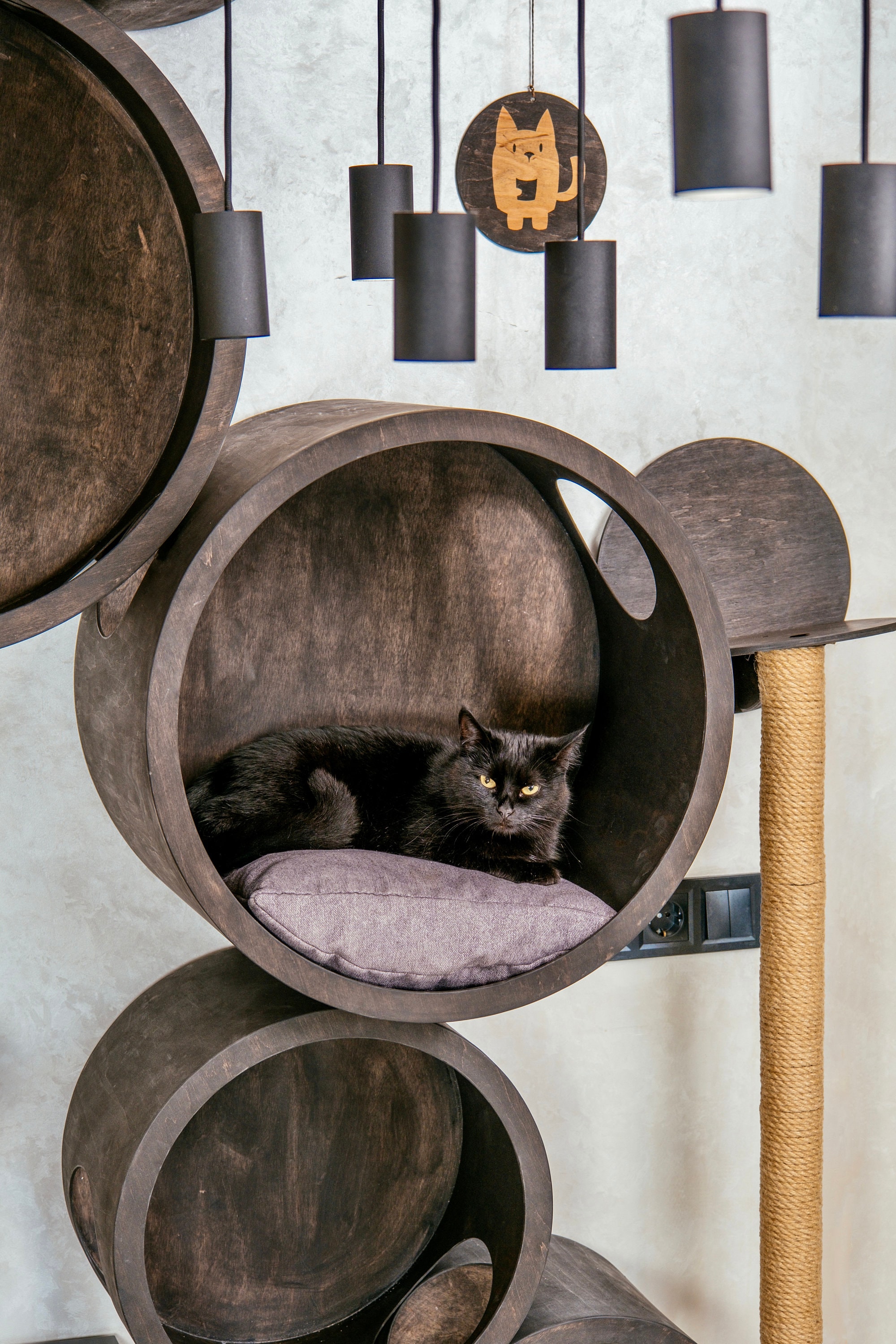 Modern Cat Tree and Scratcher for Cats
