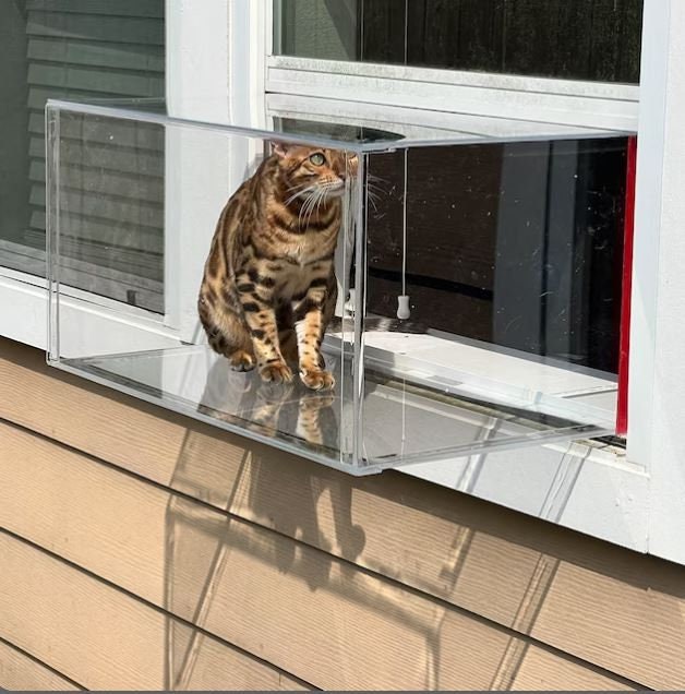 Custom Window Catio for 24”-36” Windows