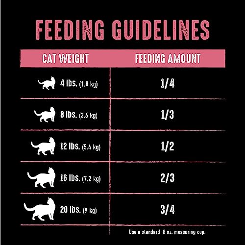 CRAVE Grain Free High Protein Cat Food 10 lb