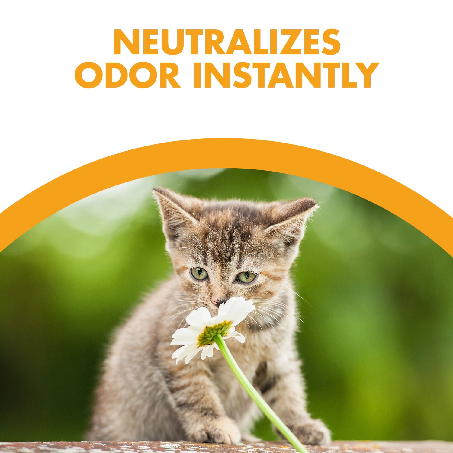 Feline Pine Natural Cat Litter 20lb