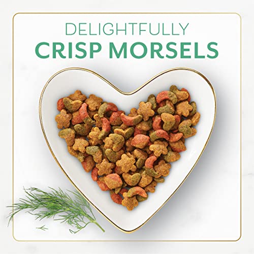 Purina Fancy Feast Ocean Fish & Salmon Dry Cat Food