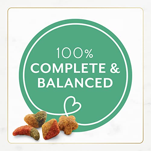 Purina Fancy Feast Ocean Fish & Salmon Dry Cat Food