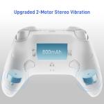 FLYDIGI Direwolf 4 PC Controller Forceflex Joystick Forceswitch Micro & Linear Triggers Stereo Vibration 6-Axis Gyro 1000Hz Report Rate PC/NS/TV/Android