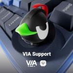 Ducky OK-M - 75% Wireless Mechanical Gaming Keyboard : Gasket-Mount Design, Hot-Swappable Switches, Five-Layer Acoustic Dampening, RGB, USB-C, 2.4Ghz, Bluetooth, Wine Red Switch