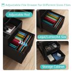 Lufeiya Computer Desk with File Drawers Cabinet, 47 Inch Reversible Home Office Desks with Filing Cabinet for Small Space, Gaming Study Writing Table PC Desks, Black