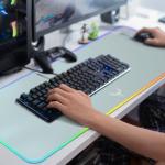 BladeHawks Extra Large RGB Gaming Mouse Pad-14 Light Modes, Extended Soft LED Mouse Pad, Anti-Slip Rubber Base, Computer Keyboard Mousepad Mat (31.5 x 12 Inch)