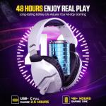 WolfLawS Wireless Gaming Headset with Noise Canceling Microphone for PS5, PC, PS4, 2.4G/Bluetooth Gaming Headphones with USB and Type-c Connector, Wired Mode for Controller Gamecube