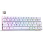 DIERYA DK63 60% Wireless Mechanical Gaming Keyboard | Bluetooth/2.4G/Wired | RGB Backlit | Anti-Ghosting Compact 63-Keys Mini Keyboard | with Red Switch | for Windows Laptop PC Gamer Typist-White