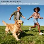 YHLOJIX 4 Pack Outdoor Pickleball Balls with Mesh Bag, Premium Pickle Balls with High Visibility, Consistent Flight & Reliable Bounce, 40 Holes Outdoor Pickleballs for Every Skill Level