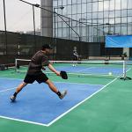 A11N Sports Pro Pickleball Net with Wheels and Hand Winch, Tournament Regulation Size, Anti-Sag Design, Perfect for Outdoor Court & Indoor Gym Floor