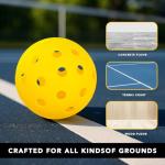 PICKLETECH Pickleball Balls 40 Pack, 40 Holes USAPA Approved Outdoor Pickleball Balls with Mesh Bag, High Bounce & True Flight, Durable Balanced Pickle Balls for Tournament Play, Yellow