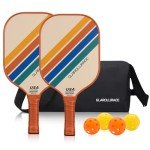 Fiberglass Pickleball Paddle Set with 4 Balls