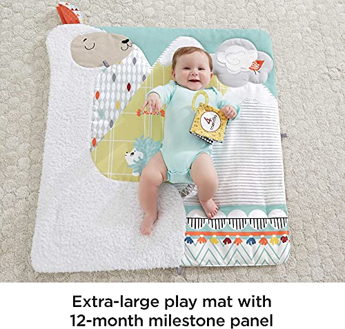 Fisher-Price Deluxe Gym Plush Infant Play Mat