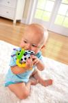 LAMAZE Bitty Bite Bug Rattle 4.5 Inch (Pack of 1)