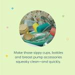 BabyGanics Foaming Dish & Bottle Soap, Fragrance Free, Removes Dried Milk, 32 Fl Oz (Pack of 2), Packaging May Vary