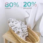 Spasilk Washcloth Wipes Set for Newborn Boys and Girls, Soft Terry Washcloth Set, Pack of 10, Gray Celestial