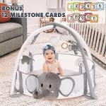 Crisschirs 5-in-1 XL Large Baby Gym & Ball Pit, Play Mat & Play Gym, Combination Baby Activity Gym with Milestone Cards for Sensory Exploration and Motor Skill Development, Balls are not Included