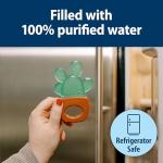 Dr. Brown's AquaCool Water-Filled Teether, Cooling Baby Teether Toy for Sore Gums, Green Cactus, BPA Free, 3m+, 2-Pack