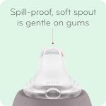 NUK Learner Cup, 10 oz, 8+ Months, 2 Count – BPA Free, Spill Proof Sippy Cup