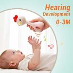 iPlay, iLearn Baby Shaker Rattle Toy, Babies Teething Sensory Toys 3-6-12 Month, Infant Development Tummy Time Animal Rattles Set, Newborn First Birthday Gift 4 5 7 8 9 10 Month Old Toddlers Boy Girl