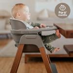Fodoss Baby High Chair, 4-in-1 Foldable Design, Sturdy Metal Square Tube with Wood Grain, Removable Dishwasher Safe Tray, 5-Point Harness, Waterproof Cushion