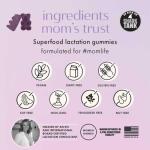 Boobie Bears Lactation Support Gummies | Helps As Milk Supply Booster & Supports Immune Health & Hair Growth | Breastfeeding Supplements with Zinc & Elderberry for Milk Supply Increase, 60 Count