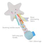 Taf Toys Star Rainstick Rattle, Musical Shake & Rattle Rainmaker Toy, Musical Instrument for Babies and Toddlers for Sensory and Motor Skills Development