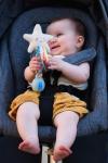 Taf Toys Star Rainstick Rattle, Musical Shake & Rattle Rainmaker Toy, Musical Instrument for Babies and Toddlers for Sensory and Motor Skills Development