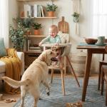 Mallify 3-in-1 Wooden High Chair, Convertible High Chairs for Babies and Toddlers, Baby Highchair with Adjustable Legs & Dishwasher-Safe Tray, Sleek Hardwood & Premium PU Cushion, Beige