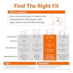 Amazon Basics Male Dog Diapers, 50 Count, Medium, Ultra Absorbent Disposable Wrap with Secure Fit, Leakproof and Comfortable