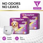 HONEY CARE All-Absorb Disposable Female Dog Diapers Small Size, Improved, 40 Count, Super Absorbent, Breathable, Wetness Indicator (Pack of 1, 40 Count Total)