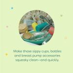 Babyganics Foaming Dish Soap, Pump Bottle, Fragrance Free, 16oz, 3 Pack