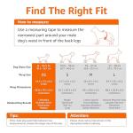 Amazon Basics Super Absorbent Male Dog Diapers, Leak-Proof Disposable Wrap with Wetness Indicator, Secure Fit, Breathable, X-Small, 30 Count