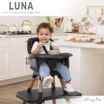 Dream On Me Luna 4-in-1 Convertible High Chair – Transforms into a Booster & Toddler Seat, Then into a Toddler Chair & Table, 5-Point Safety Harness, Adjustable Tray, Anti-Skid Padded Feet – Black