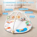 Montessori Baby Play Gym & Activity Mat for Brain Development (0-12Mo) | 5-Sensory Zones + 5 Toys |Portability Tummy Time Activity Mat Stage-Based for Newborn Brain Development Essential & Gift-Ready