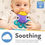 Nuby Vibe-EEZ Vibrating Teether - Battery Powered - Textured Surface and Easy to Grasp Toy for Baby Teething Relief - 3+ Months - Octopus