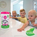 Dapple Baby All Purpose Wipes, Plant Powered, Hint of Lavender, Hypoallergenic, 75 Count Canister (Pack of 2) + 30 Count (Pack of 2)
