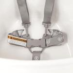 Regalo Baby Basics® High Chair for Babies and Toddlers, Baby High Chair with Removable Oversized Tray & Cup Holder, 5-Point Harness, Easy to Clean Toddler High Chair, White