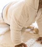 Burt's Bees Baby Hooded Sweatshirt Jacket - Organic Cotton Zip Up Hoodie, Newborn to Toddler Boy Girl Essential Coat