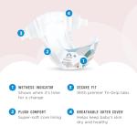 Amazon Brand - Mama Bear Plush Protection Disposable Baby Diapers, Hypoallergenic, Fragrance-Free, Leak Protection, Size 5, 124 Count (4 Packs of 31), White and Cloud Dreams