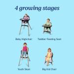 Graco Ready2Dine 4-in-1 Highchair, Portable High Chair with 4 Growing Stages, Foldable Baby High Chair, Toddler Feeding Seat, Youth Stool, and Big Kid Seat, Linden